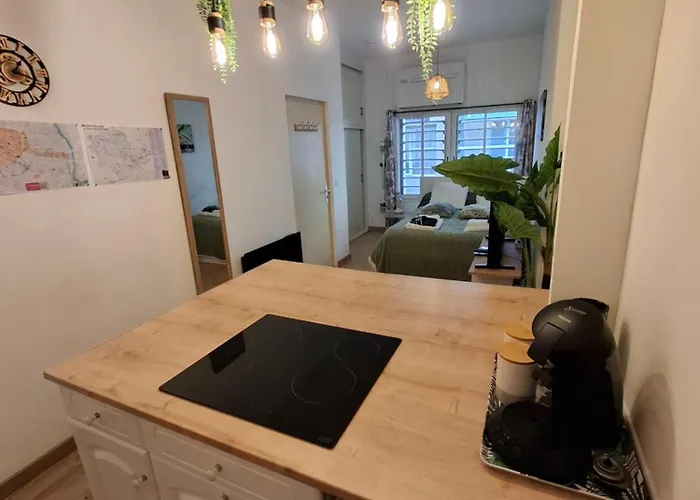 La Casa De Planel Gare Saint Roch * Μονπελιέ